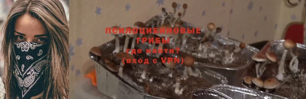 МДПВ Бородино
