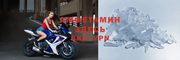 МДПВ Бородино