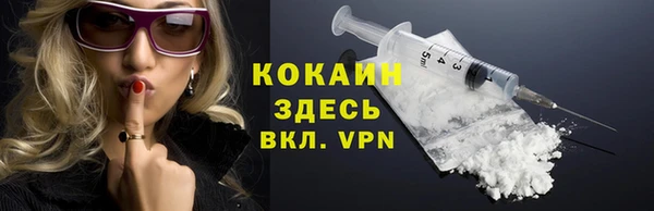 МДПВ Бородино