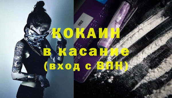 МДПВ Бородино