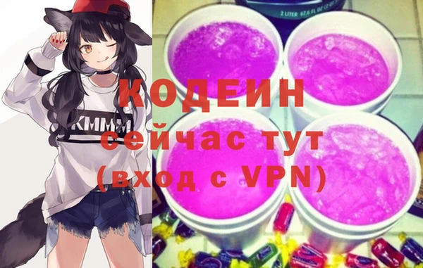 МДПВ Бородино