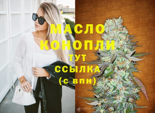 МДПВ Бородино
