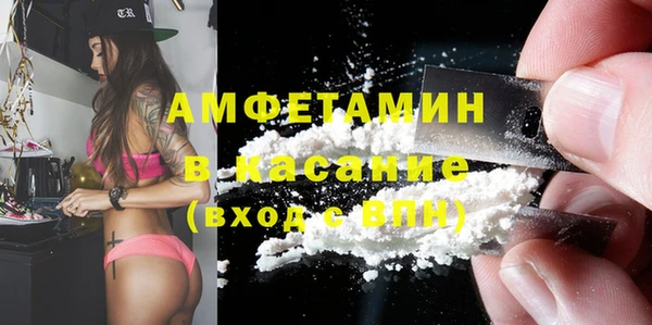 МДПВ Бородино
