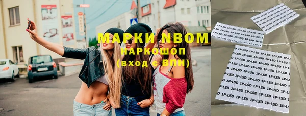 МДПВ Бородино