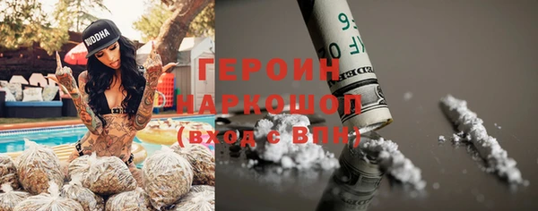 МДПВ Бородино