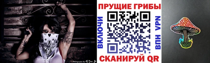 цены   Мончегорск  Галлюциногенные грибы Psilocybe 