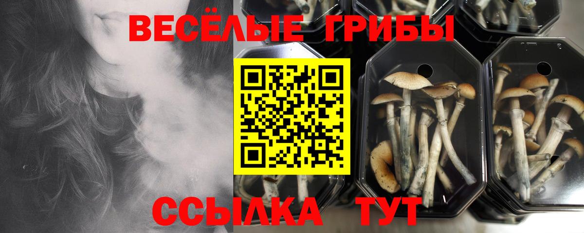 Мончегорск  Галлюциногенные грибы ЛСД  Вход с VPN  Псилоцибиновые грибы Magic Shrooms 