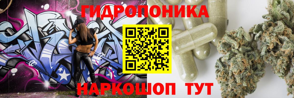 Шишки марихуана White Widow Мончегорск